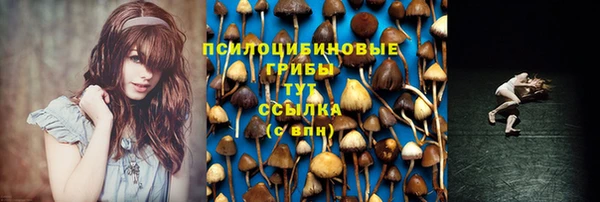 трава Абдулино