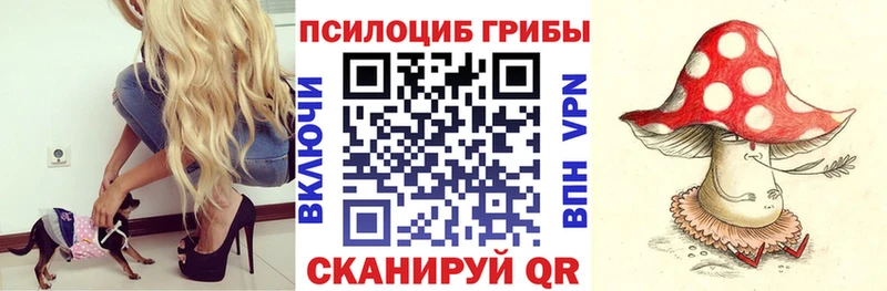где продают наркотики  Бугуруслан  OMG маркетплейс  Галлюциногенные грибы ЛСД 
